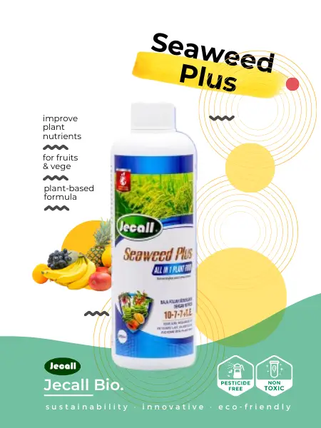 Seaweed Plus 250ML Seaweed Plus 250ml