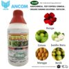 Ancom AlbarolĀ® Insecticide 1 Liter Ancom AlbarolĀ® Insecticide 1 Liter