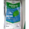 Bayer Antracol® 70WP 1KG Bayer Antracol® 70WP 1KG