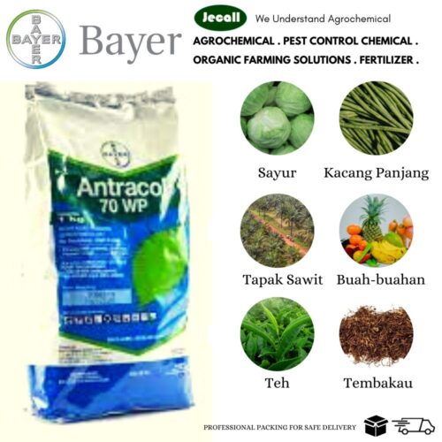 Bayer Antracol® 70WP 1KG