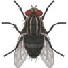 Bayer Q-Bayt® WG10 Fly Solution 250G Bayer Q-Bayt® WG10 Fly Solution 250G