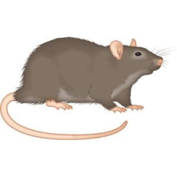 Behn Meyer RatgoneĀ® 250G Behn Meyer RatgoneĀ® 250G