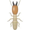 Hextar ChalcidĀ® Termite Solution 4 Liter Hextar ChalcidĀ® Termite Solution 4 Liter