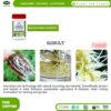 Jecall-Bio IBA Rooting Powder Plant Hormone 50g Jecall-Bio IBA Rooting Powder Plant Hormone 50g