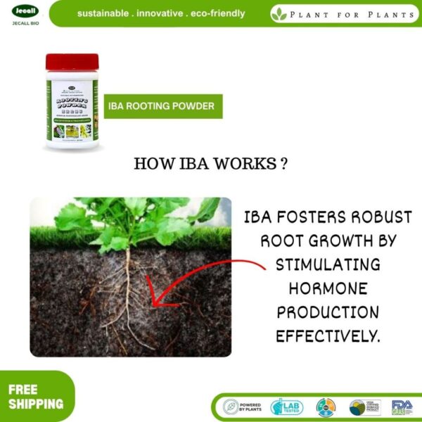Jecall-Bio IBA Rooting Powder Plant Hormone 50g Jecall-Bio IBA Rooting Powder Plant Hormone 50g