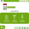 Jecall-Bio IBA Rooting Powder Plant Hormone 50g Jecall-Bio IBA Rooting Powder Plant Hormone 50g