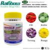 Rainbow InroleĀ® 30WG 150G Rainbow InroleĀ® 30WG 150G